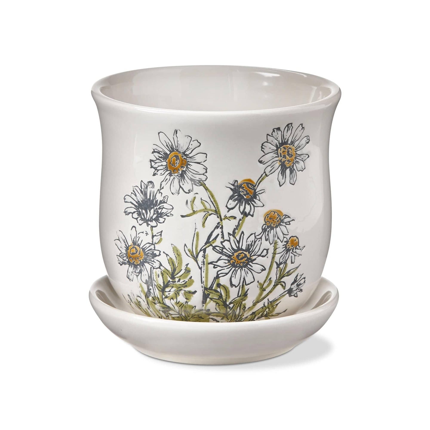 Chamomile Planter - Village Floral Designs and Gifts