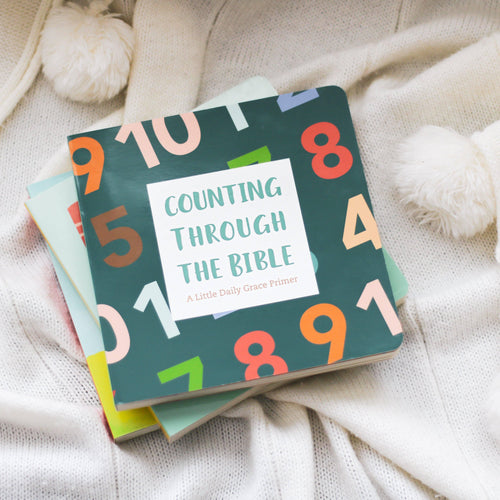 Counting Through the Bible Board Book - Village Floral Designs and Gifts