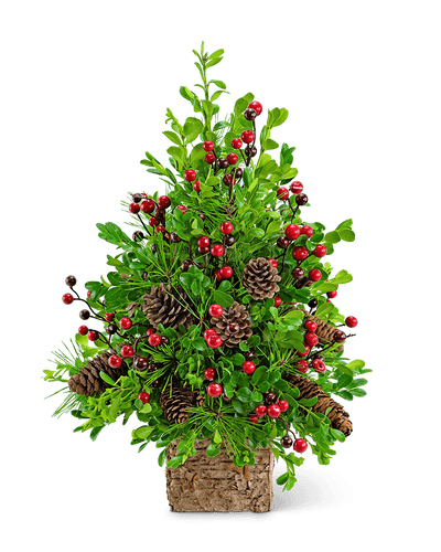 Adorned Boxwood Tree - Village Floral Designs and Gifts