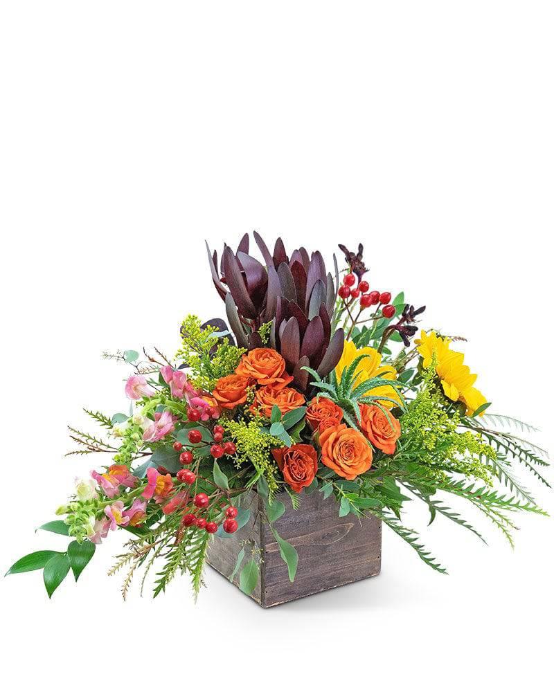 Aurora Moment - Village Floral Designs and Gifts