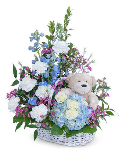 Beary Lovable - Village Floral Designs and Gifts