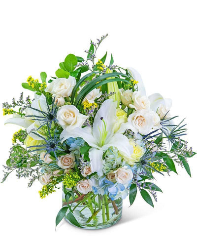Bossa Nova Blues - Village Floral Designs and Gifts