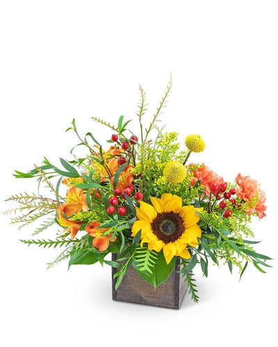 Brilliant Sunset - Village Floral Designs and Gifts