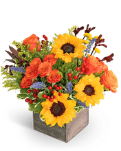 Load image into Gallery viewer, Canyon Blooms - Village Floral Designs and Gifts
