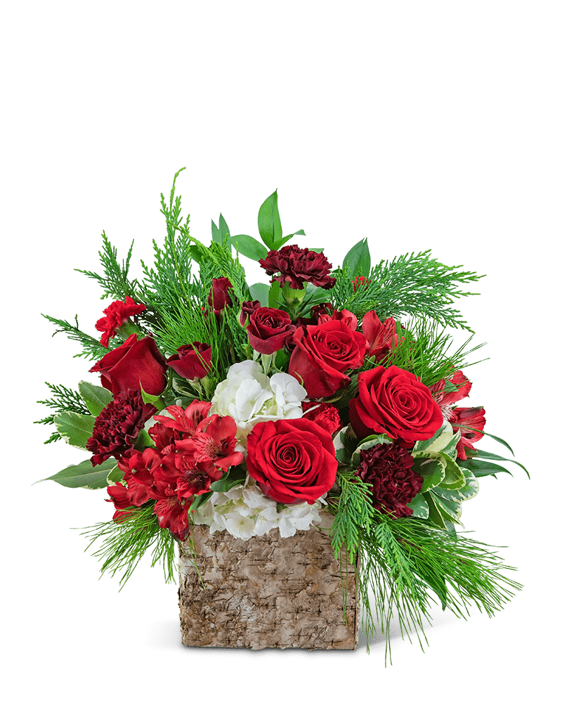 Cinnamon Spice - Village Floral Designs and Gifts