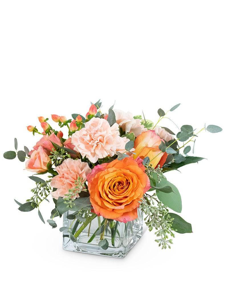 Coral Crush - Village Floral Designs and Gifts