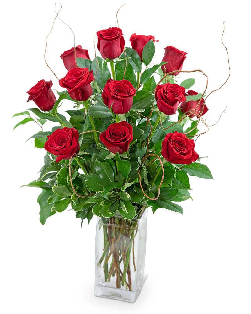 Dozen Red Roses with Willow - Village Floral Designs and Gifts