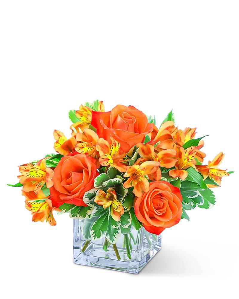 Fresh Tangerine - Village Floral Designs and Gifts