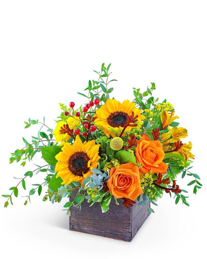 Fresh Thyme - Village Floral Designs and Gifts