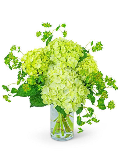 Green Glow - Village Floral Designs and Gifts