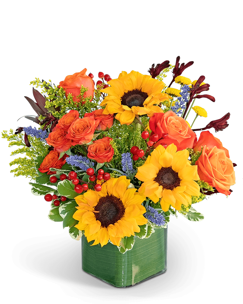 Hills of Tuscany - Village Floral Designs and Gifts