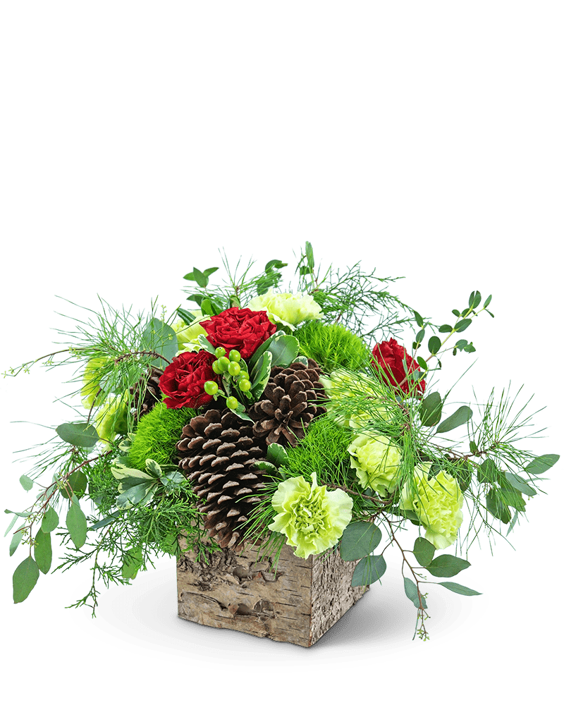 Holiday Mode - Village Floral Designs and Gifts