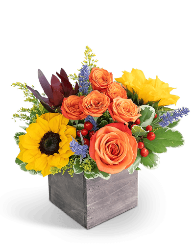 Larchmont Canyon - Village Floral Designs and Gifts