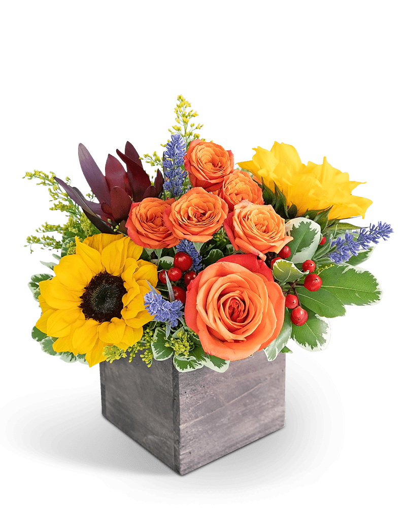 Larchmont Canyon - Village Floral Designs and Gifts