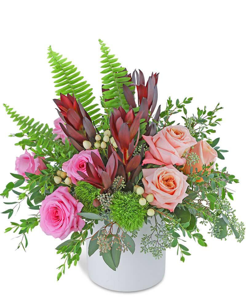 Lush Organic - Village Floral Designs and Gifts