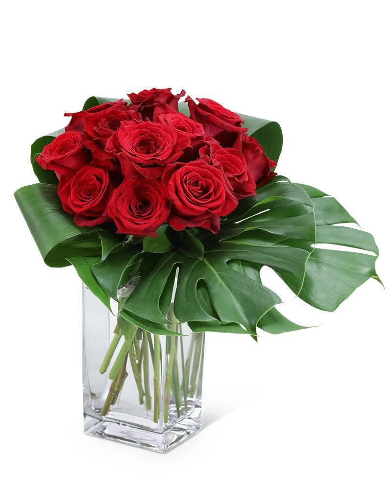 Modern Roses (12) - Village Floral Designs and Gifts