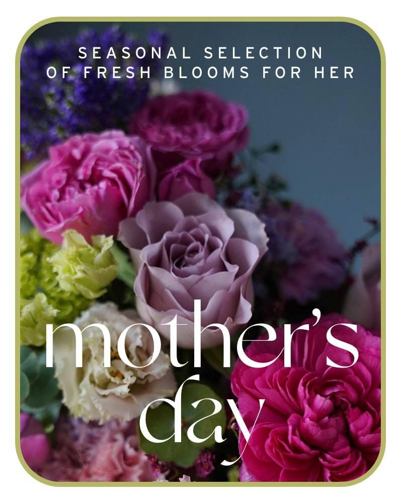 Mother's Day Designer's Choice - Village Floral Designs and Gifts