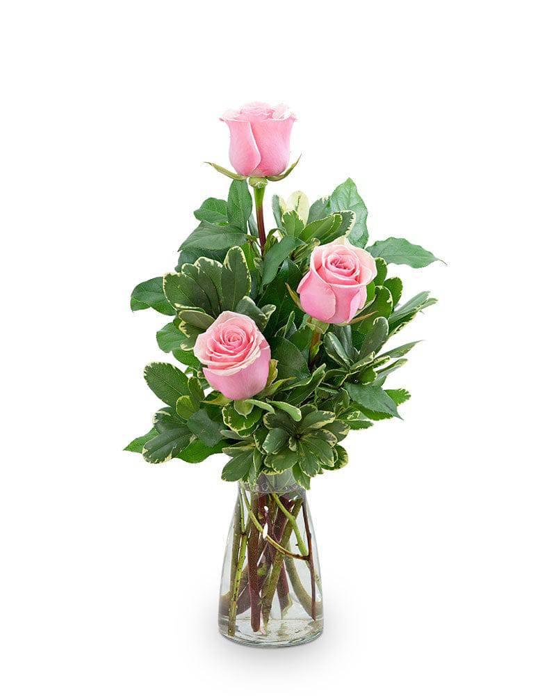 Pink Roses (3) - Village Floral Designs and Gifts