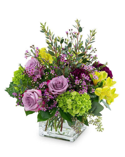 Plum Paradise - Village Floral Designs and Gifts