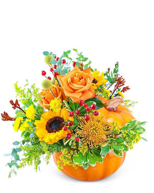 Pumpkin in Radiance - Village Floral Designs and Gifts