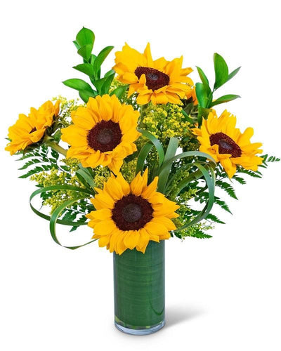 Ray of Golden Sunflowers - Village Floral Designs and Gifts