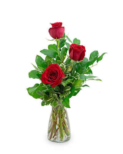 Red Roses (3) - Village Floral Designs and Gifts
