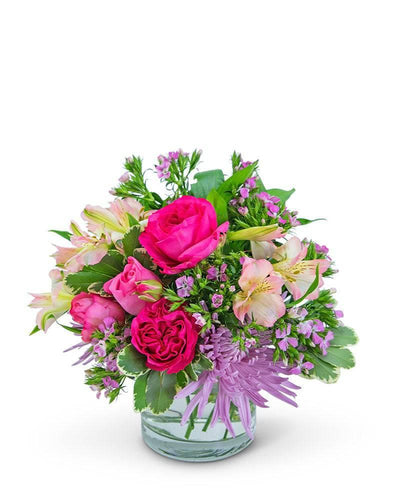 Simply Cosmopolitan - Village Floral Designs and Gifts