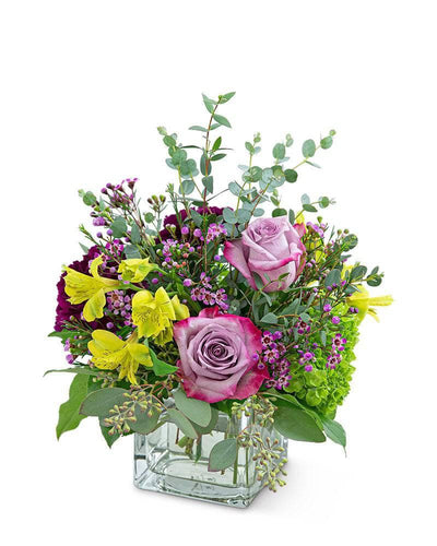Sugar & Plum - Village Floral Designs and Gifts