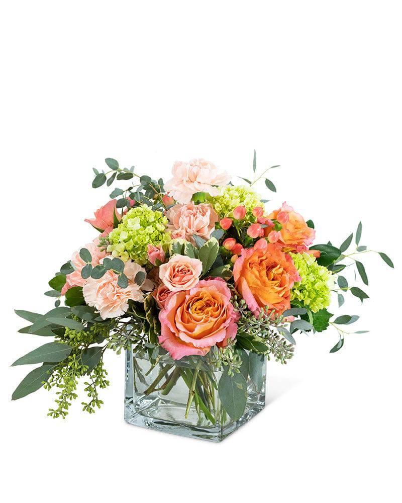 Sweet Charlotte - Village Floral Designs and Gifts