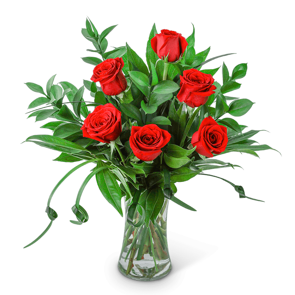 The Classic Six - Village Floral Designs and Gifts