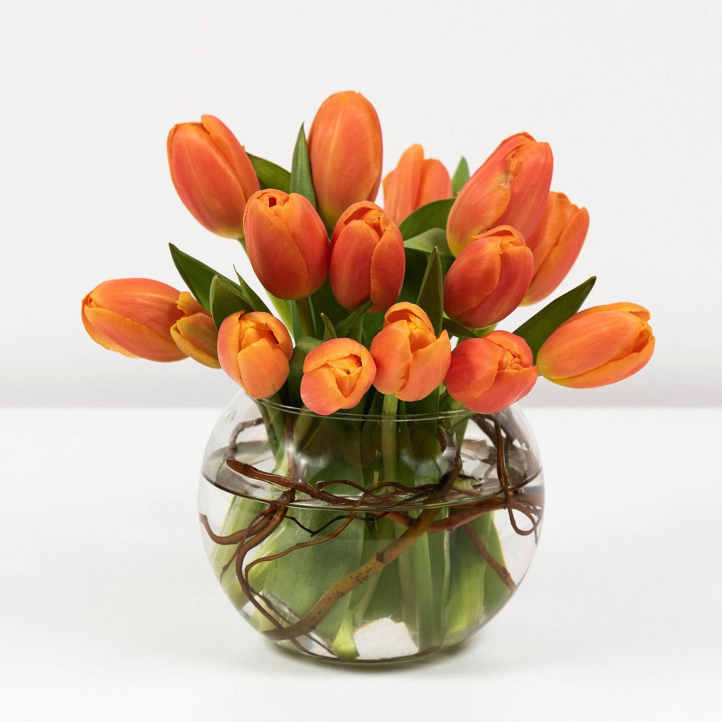 Tulips - Village Floral Designs and Gifts