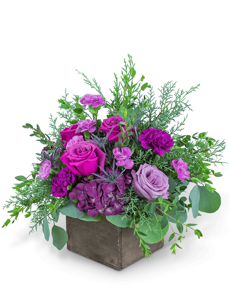 Violet's Song - Village Floral Designs and Gifts