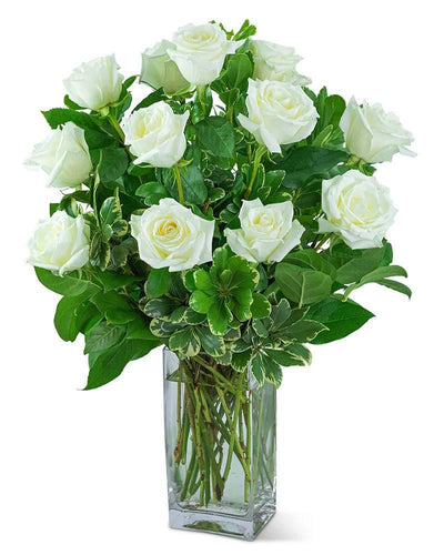 White Roses (12) - Village Floral Designs and Gifts