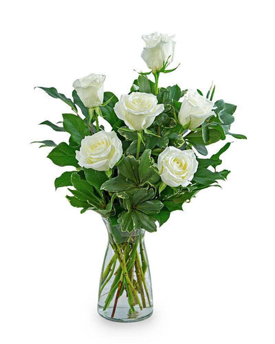 White Roses (6) - Village Floral Designs and Gifts