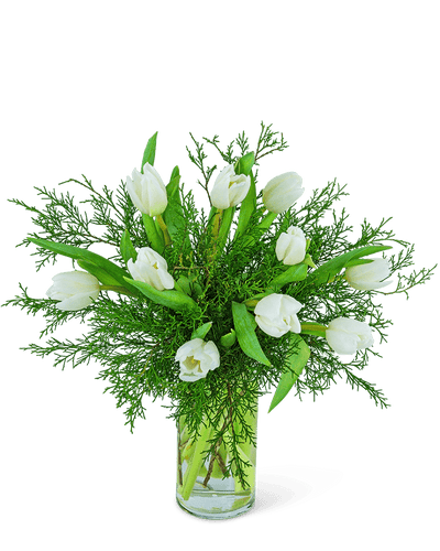 Winter White Tulips - Village Floral Designs and Gifts