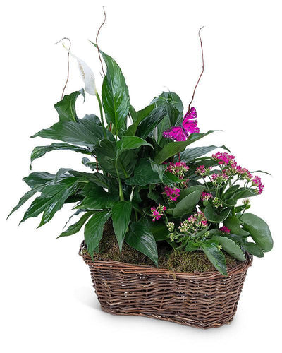 Harmony Basket with Butterflies - Village Floral Designs and Gifts