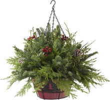 Load image into Gallery viewer, Yuletide Hanging Basket - Village Floral Designs and Gifts

